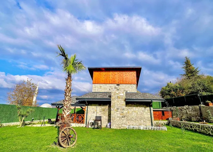 Sakarya Kurucesme De 3 1 Salon Oezel Havuzlu - Soemineli 6 Kisilik Tas Ev -spn-3670 Sapanca