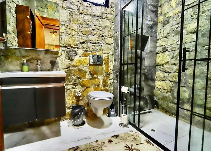 Sakarya Kurucesme De 3 1 Salon Oezel Havuzlu - Soemineli 6 Kisilik Tas Ev -spn-3670